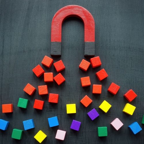 Shutterstock_2215145833