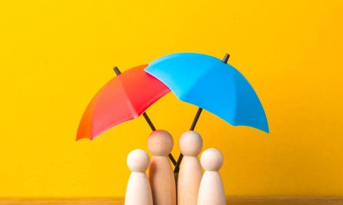 Shutterstock_2347042823