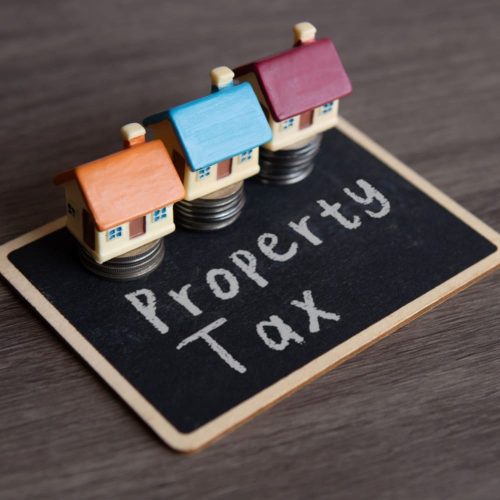 Shutterstock_2430568645 (1)